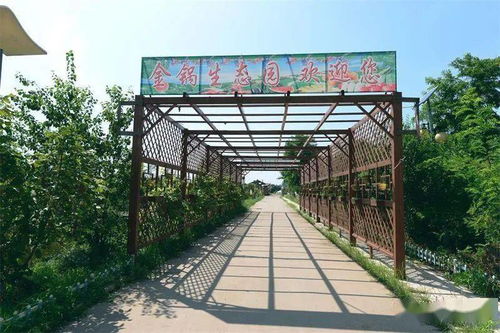 武清梅廠九龍?zhí)渡鷳B(tài)園 一隅桃源的詩(shī)意棲居